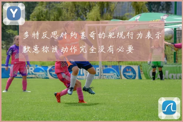 多特反思对约基奇的犯规行为表示歉意称该动作完全没有必要